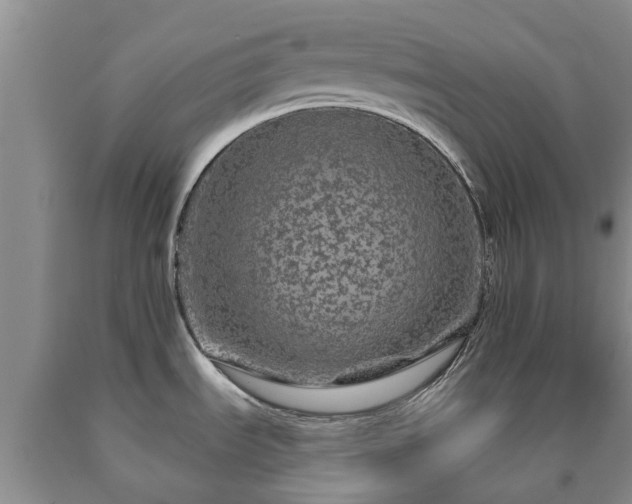 X0000090611535200707241055