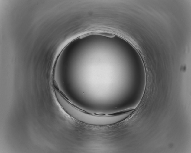 X0000090611536200707241055