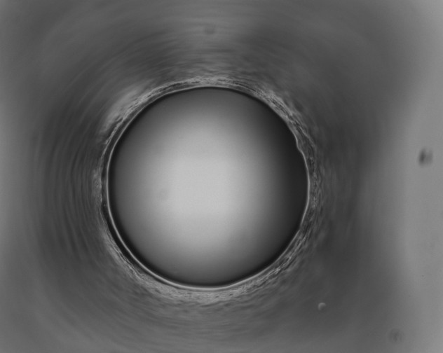 X0000090610002200707311232