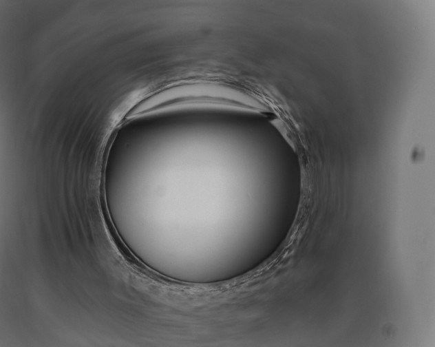 X0000090610003200707311232