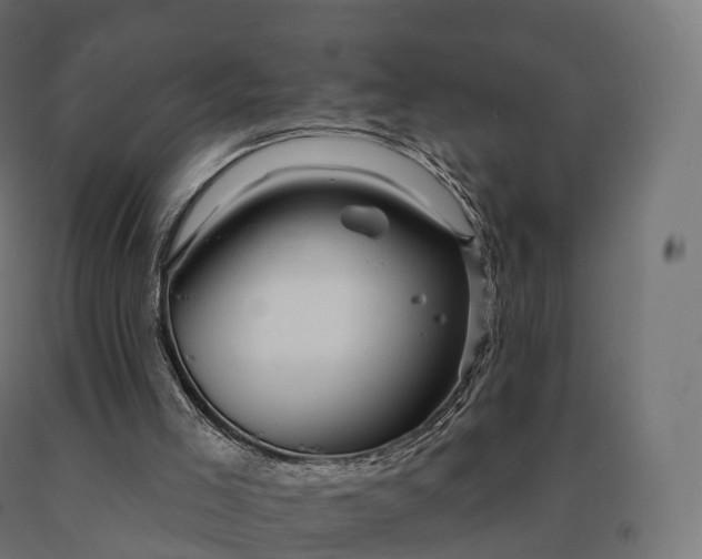 X0000090610005200707311232