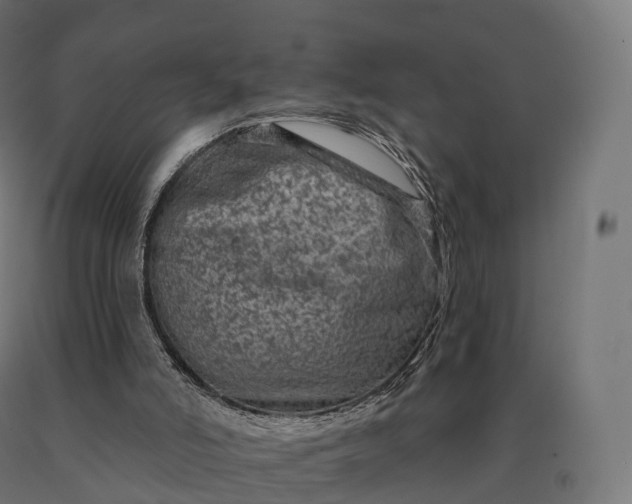 X0000090610006200707311232