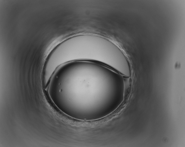 X0000090610007200707311232