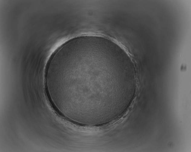 X0000090610008200707311232