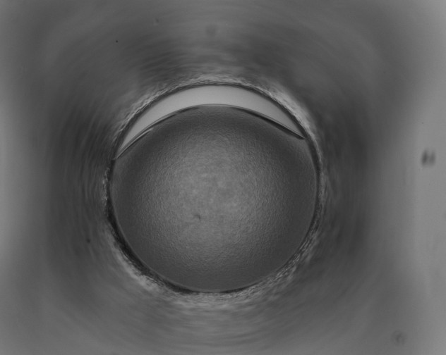 X0000090610009200707311232