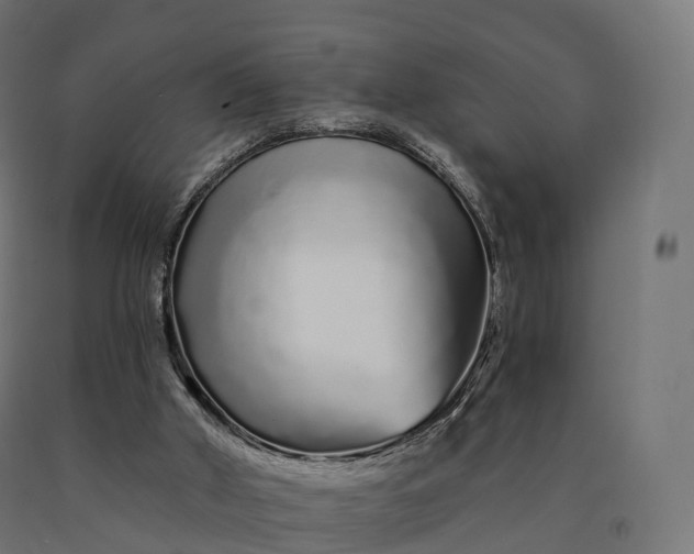 X0000090610010200707311232