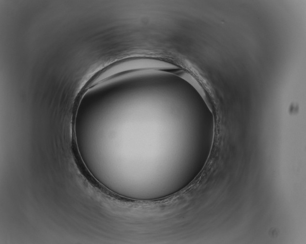 X0000090610011200707311232