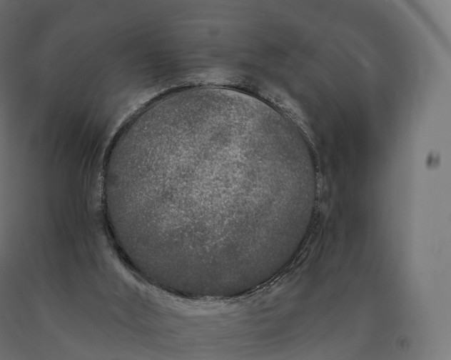 X0000090610012200707311232