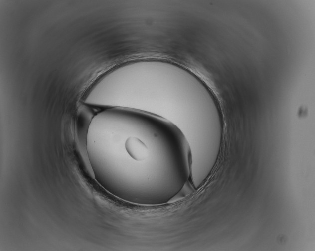 X0000090610013200707311232