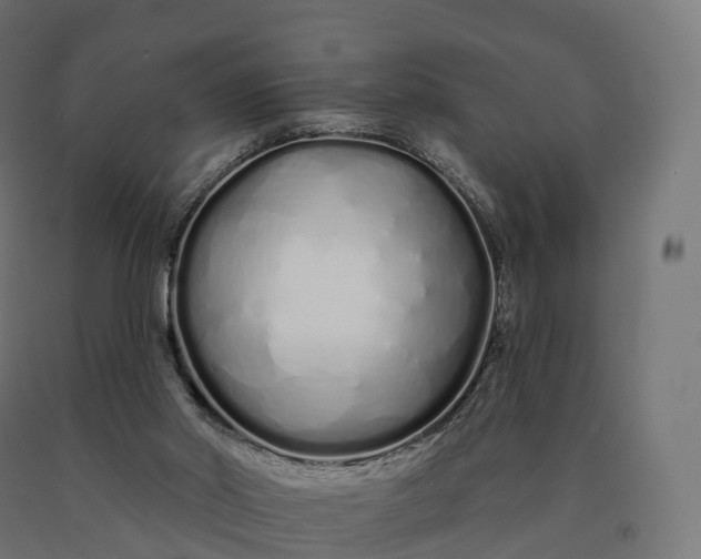 X0000090610014200707311232