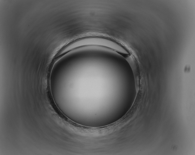 X0000090610015200707311232