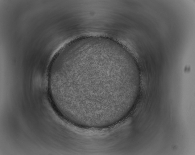 X0000090610016200707311232