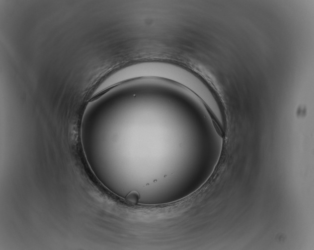 X0000090610017200707311232