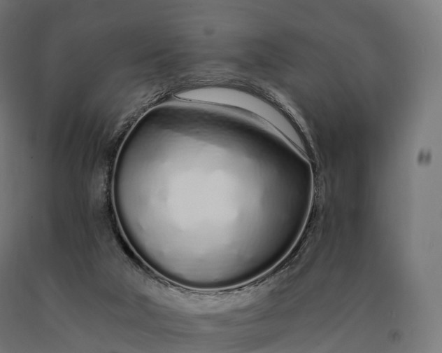 X0000090610018200707311232