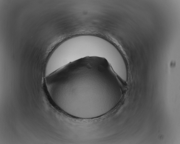 X0000090610019200707311231