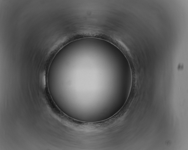 X0000090610020200707311231