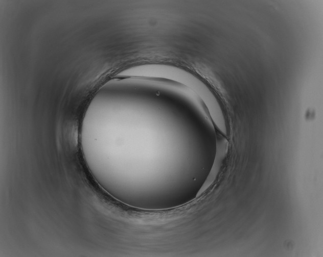 X0000090610021200707311231