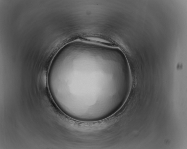 X0000090610022200707311231