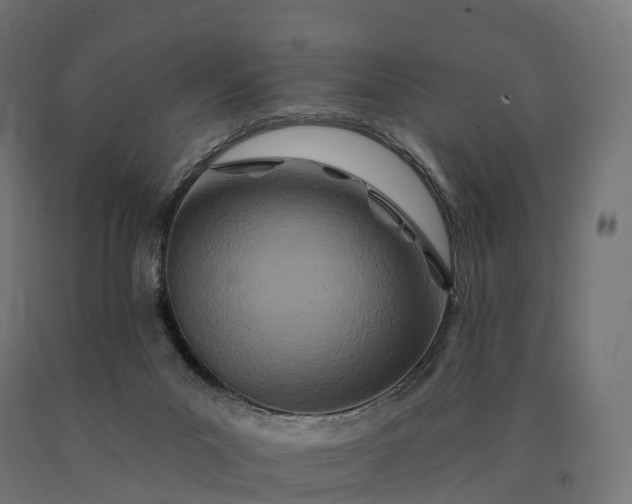 X0000090610023200707311231