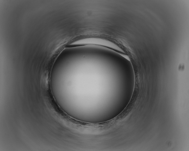 X0000090610024200707311231