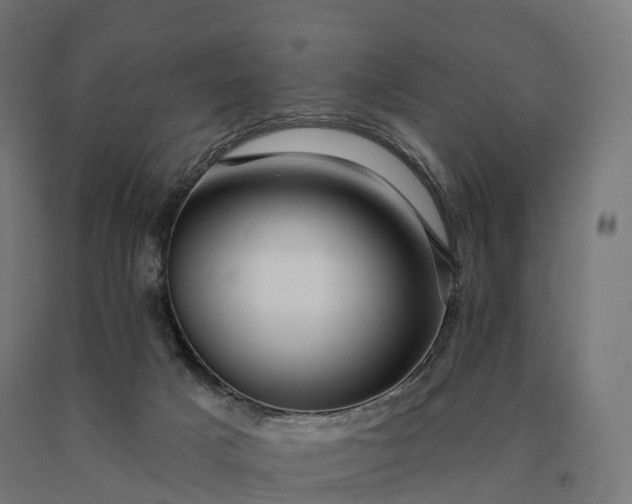 X0000090610025200707311231