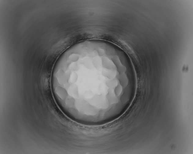 X0000090610026200707311231