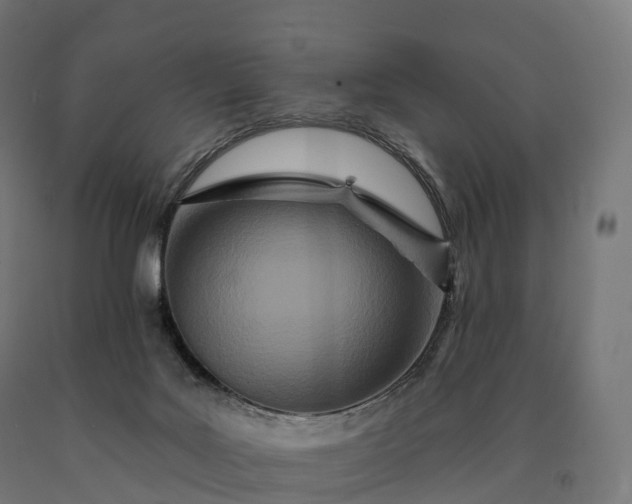 X0000090610027200707311231