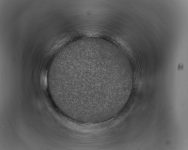 X0000090610028200707311231