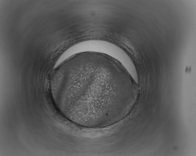 X0000090610029200707311231