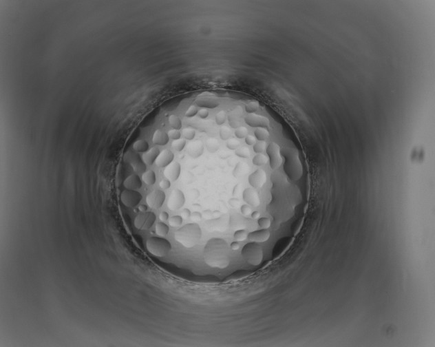 X0000090610030200707311231