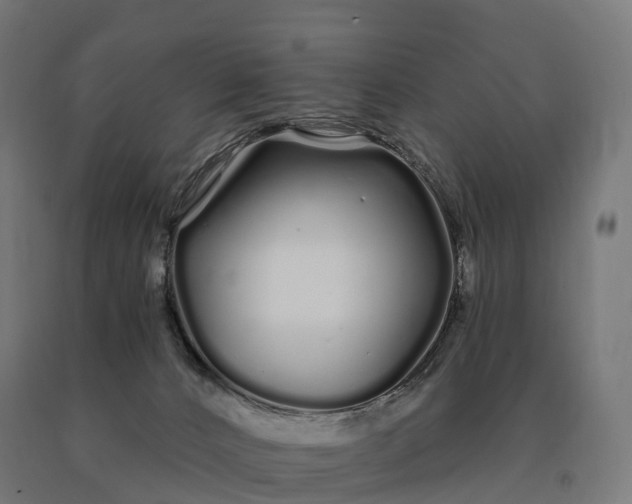 X0000090610032200707311231