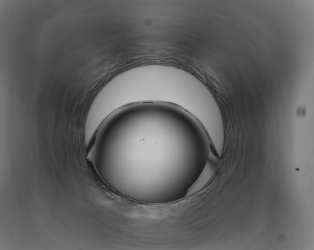 X0000090610033200707311231