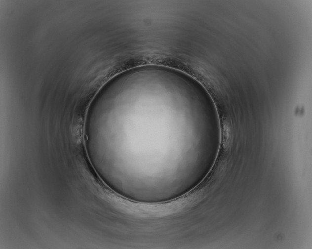 X0000090610034200707311231