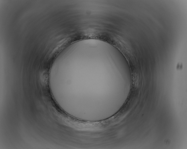 X0000090610036200707311231