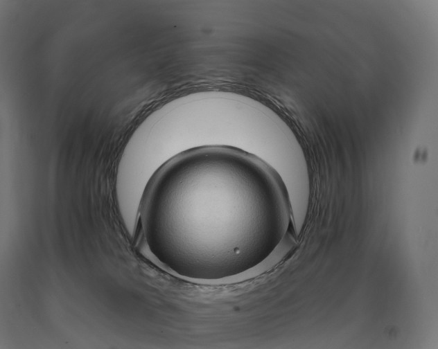 X0000090610037200707311231