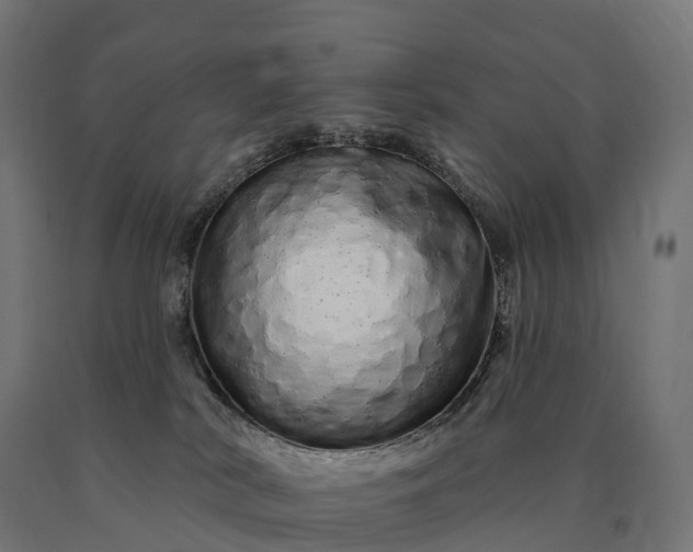 X0000090610038200707311231