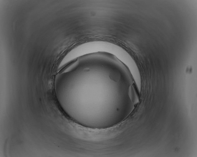 X0000090610039200707311231