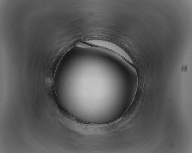 X0000090610040200707311231