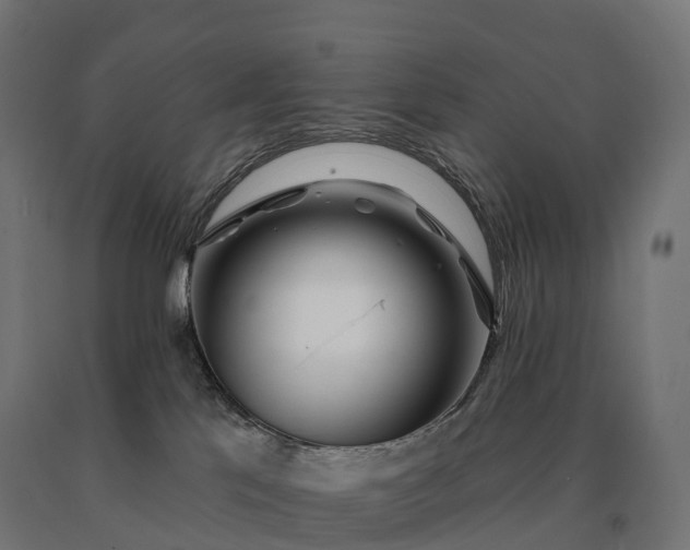 X0000090610041200707311231