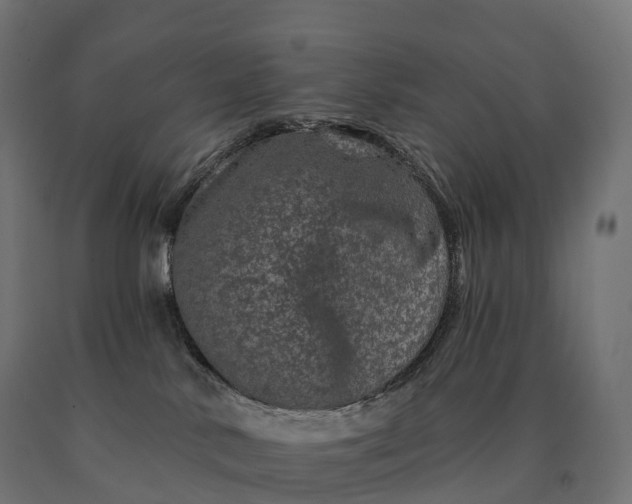 X0000090610042200707311231