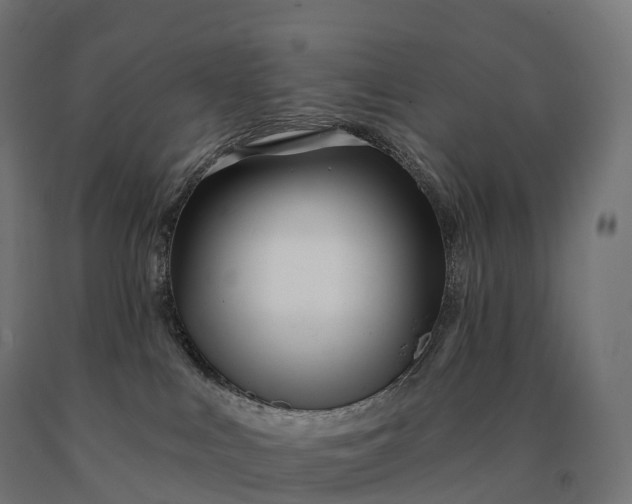 X0000090610043200707311231