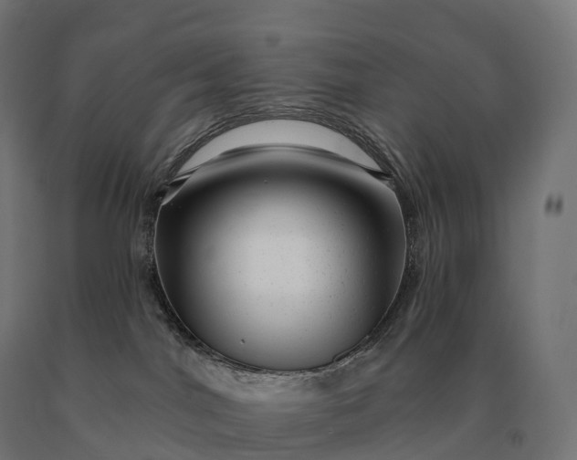 X0000090610044200707311231