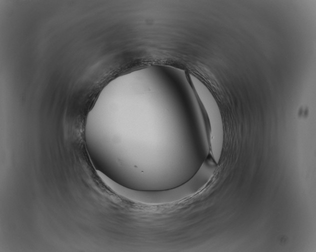 X0000090610045200707311231