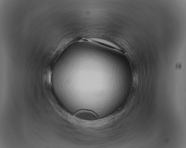 X0000090610046200707311231