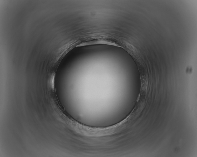 X0000090610047200707311231