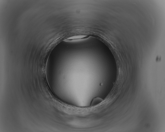 X0000090610048200707311231