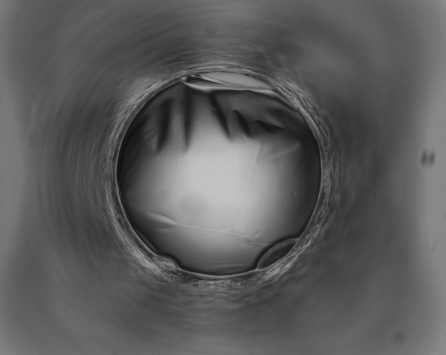 X0000090610049200707311231