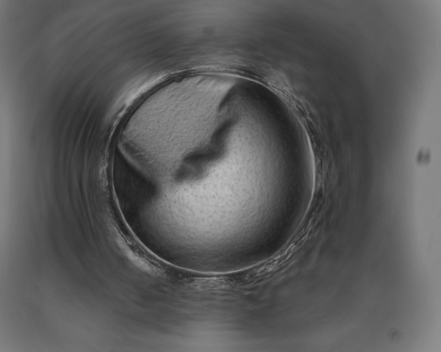 X0000090610050200707311231