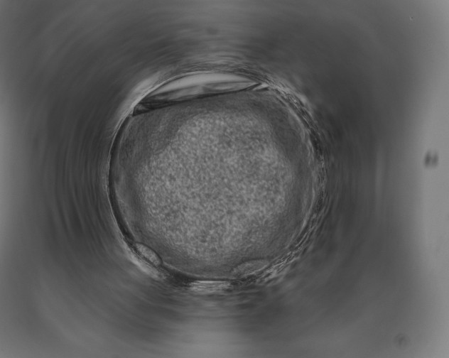 X0000090610051200707311231