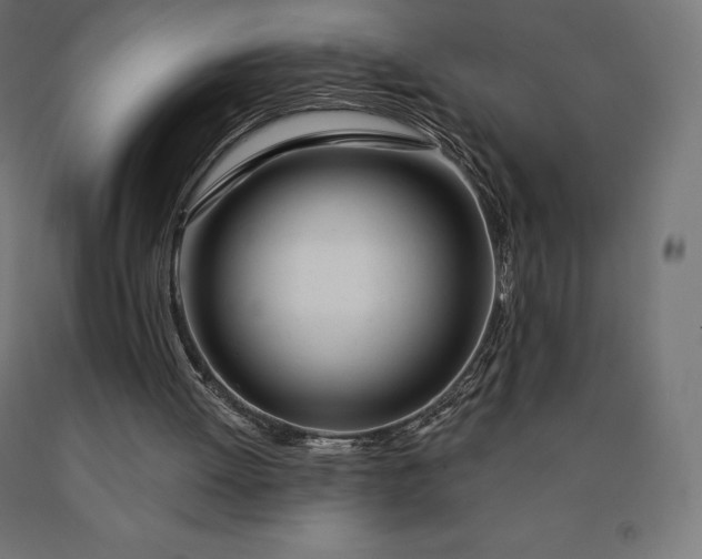 X0000090610052200707311231